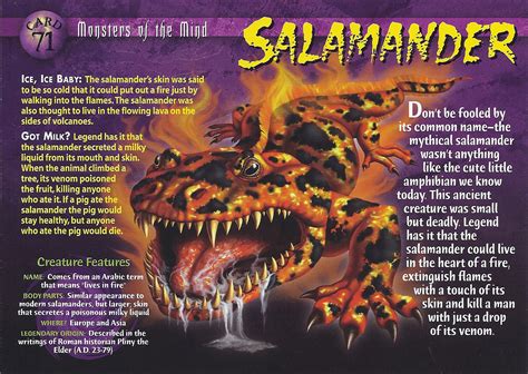 Salamander Wierd Nwild Creatures Wiki Fandom Powered By Wikia