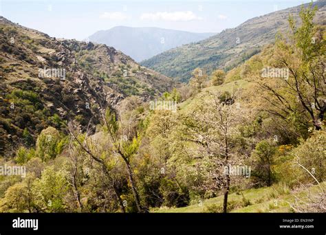 Paisaje Del R O Poqueira Gorge Valle Alto Alpujarras Sierra Nevada