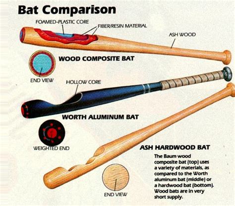 the evolution of the baseball bat