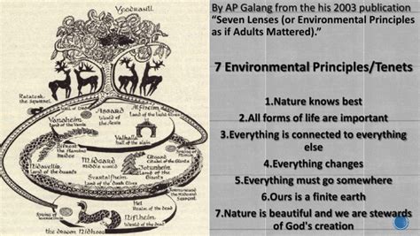 7 Environmental Principles Pdf