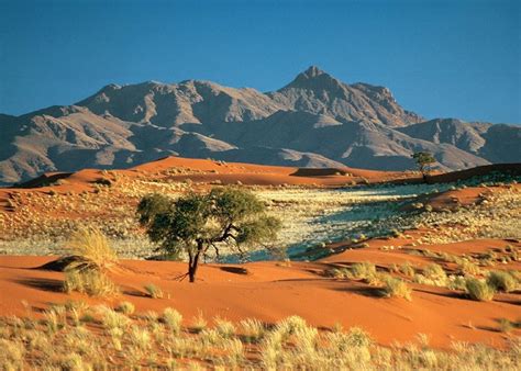 Namibia Vacations and Safaris 2025 & 2026 | Audley Travel US 