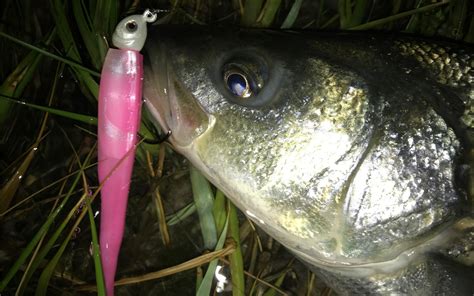 How to Lose Fewer Soft Plastic Lures | Outdoor Life