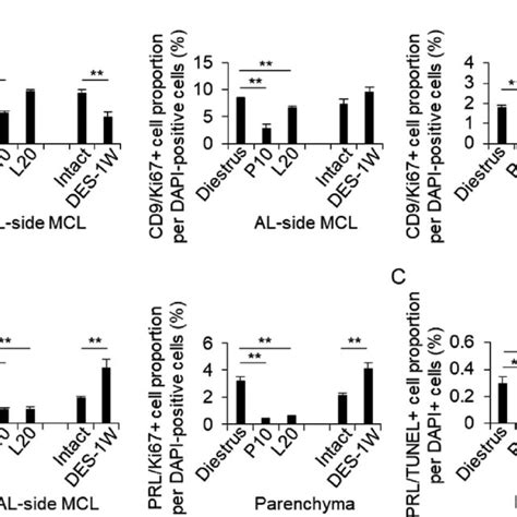 The Proportion Of Cd9ki67 And Prlki67 Positive Cells In The Il Side