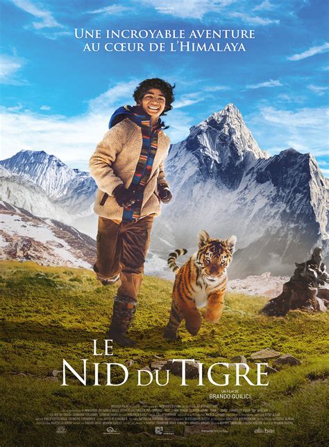 Le Nid Du Tigre En Dvd Le Nid Du Tigre Dvd Allocin