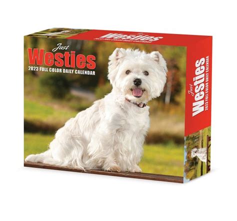 West Highland White Terrier Kalender Boxed Bol