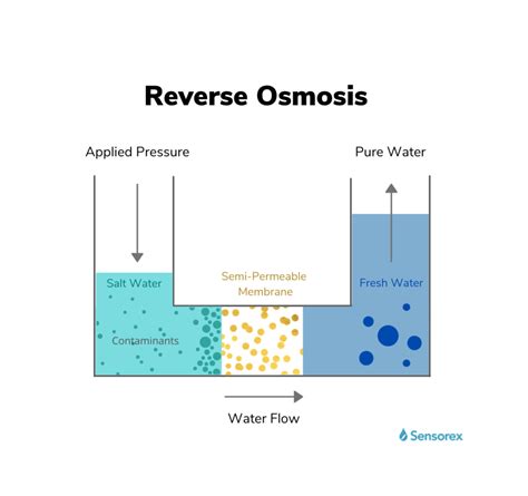 What Is A Reverse Osmosis Water System And How Can You Manage It Sensorex