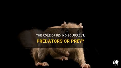 The Role Of Flying Squirrels: Predators Or Prey? | PetShun