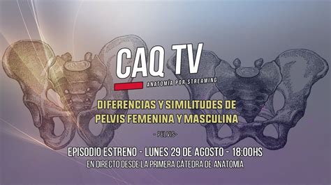 Caq Tv Episodio Diferencias Y Similitudes De La Pelvis