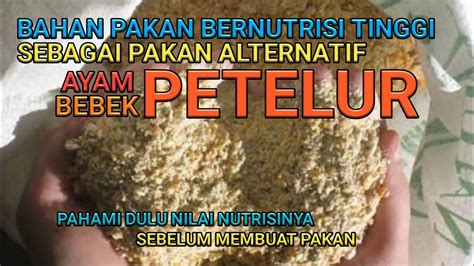 Nutrisi Bahan Pakan Alternatif Bebek Petelur Part 1 YouTube