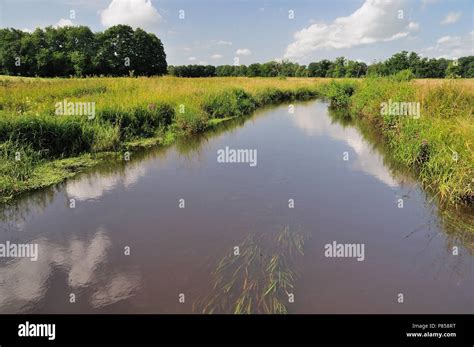 Typical Dutch Landscape Stock Photo Alamy