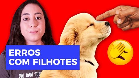 NUNCA COMETA ESSES ERROS SEU FILHOTE YouTube