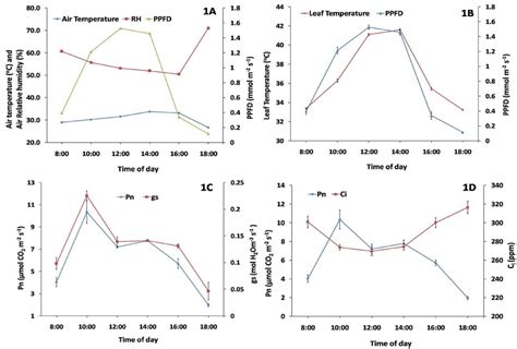 Diurnal Variations Of Photosynthetic Photon Flux Desity Ppfd Air