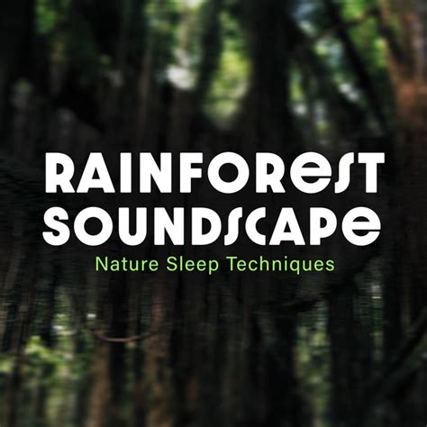 Rainforest Soundscape Nature Sleep Techniques Album By Rainforest