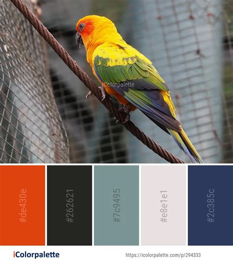 Color Palette Ideas from Bird Parrot Parakeet Image | iColorpalette