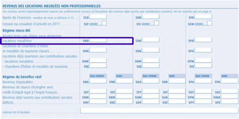 Le Guide De La D Claration Lmnp En Ligne Blog Coup De Coeur Immobilier