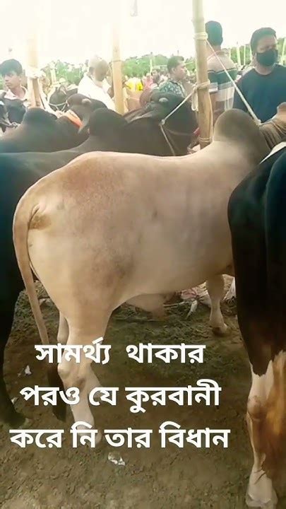 কত টাকা থাকলে কুরবানী দিতে হবেকুরবানীর গরু Kurbanir Gharo Eid 😲