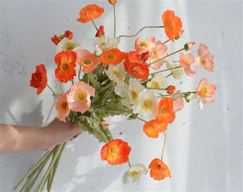 Icelandic Poppies Bouquets Etsy