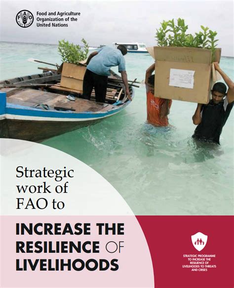 Strategic Work Of Fao To Increase The Resilience Of Livelihoods Policy