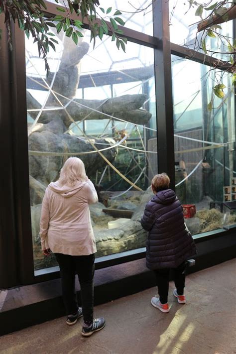 Photos Rainforest At Cleveland Metroparks Zoo Reopens With New Dome