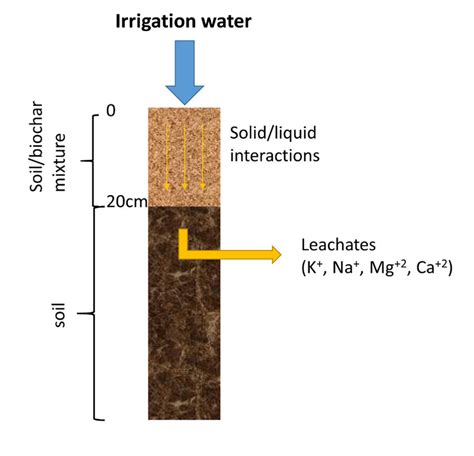 Graphic Representation Of The Theoretical Leaching Model Of Soil