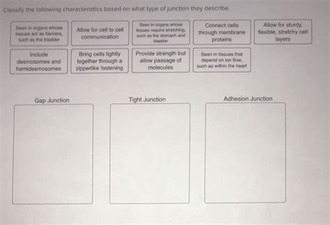 Solved Classify the following characteristics based on what | Chegg.com