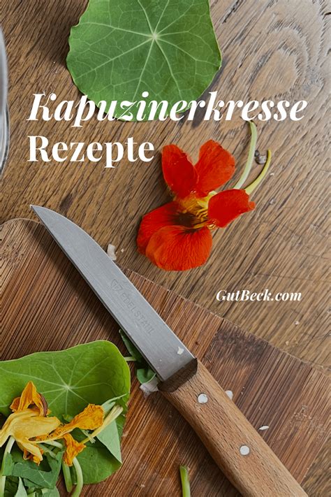 Kapuzinerkresse Rezepte Rezept Kapuzinerkresse Rezepte Pesto Rezept