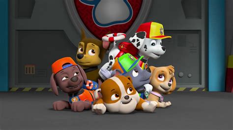 Folge Vom Paw Patrol Helfer Auf Vier Pfoten Staffel