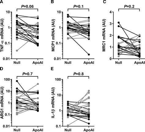 Apo A I Apolipoprotein A I Vascular Gene Therapy Provides Durable