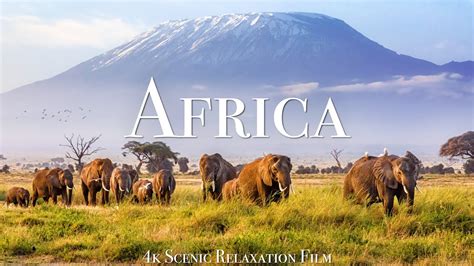 Africa K Scenic Relaxation Film With African Music Youtube