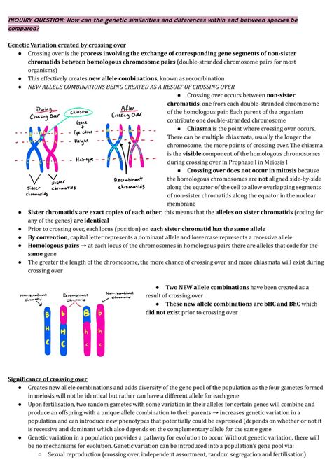 Biology Module 5: Heredity Complete Topic Notes | Biology - Year 12 HSC ...