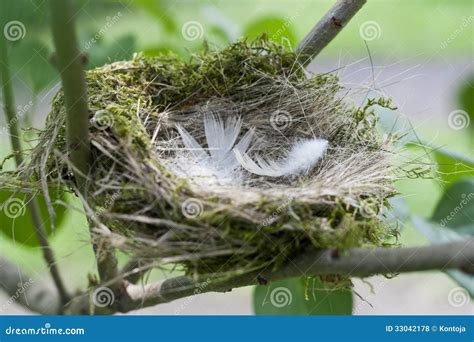 Bird S Nest A Synonym For A Cozy House Apartment Stock Photo Image