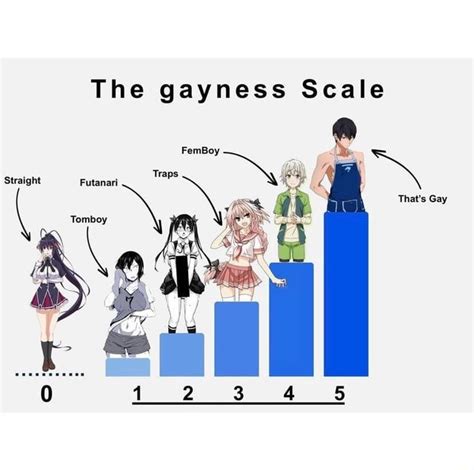 The Gayness Scale FemBoy Straight Futanari That S Gay IFunny