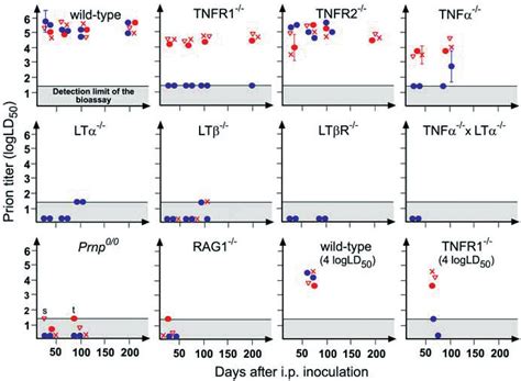 Determination Of Prion Infectivity Titers In Spleens And Lymph Nodes