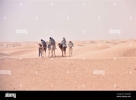 Caravane De Chameaux Dans Le Désert Du Sahara En Tunisie Lafrique