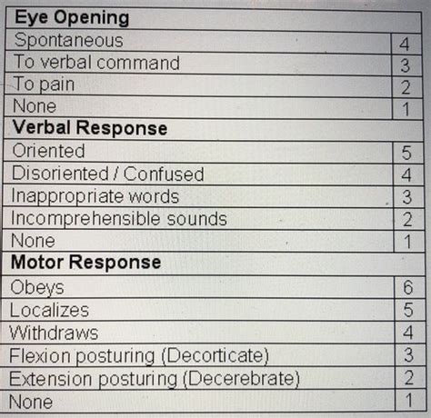 EMT Exam 1 Chapters 1 13 Flashcards Quizlet