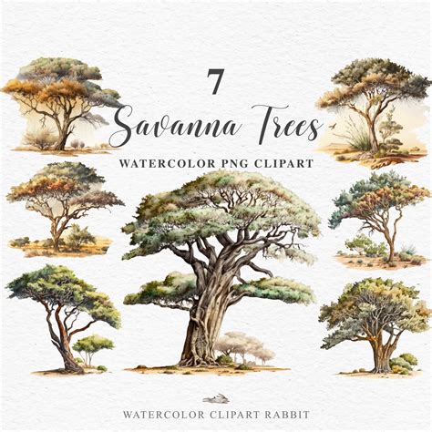 Savanna Tree Nature PNG Clipart Safari Animals Jungle - Etsy