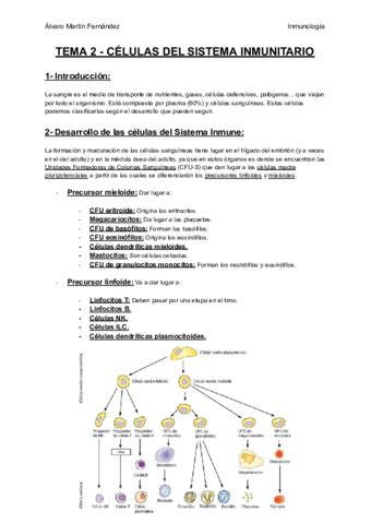 TEMA 2 CELULAS DEL SISTEMA INMUNITARIO Pdf