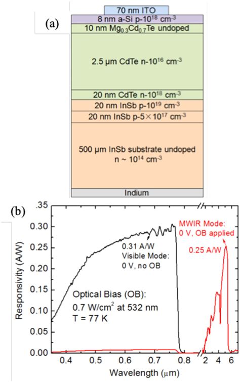 A Layer Structure And B Responsivity Of The Cdte Pn Junction Download Scientific Diagram