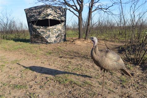 Better Turkey Blinds for 2017 - Bowhunter