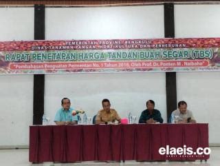 Dua Minggu Lagi Cangkang Parameter Harga TBS Di Bengkulu Elaeis Co