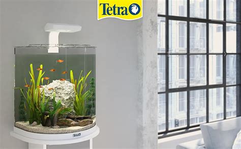 Tetra Explorer Line 30 L Akvarium Komplett Set Design Akvarium Med