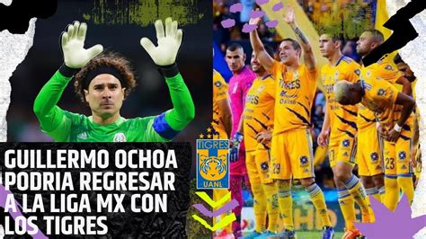 GUILLERMO OCHOA PODRIA REGRESAR A LA LIGA MX CON LOS TIGRES YouTube