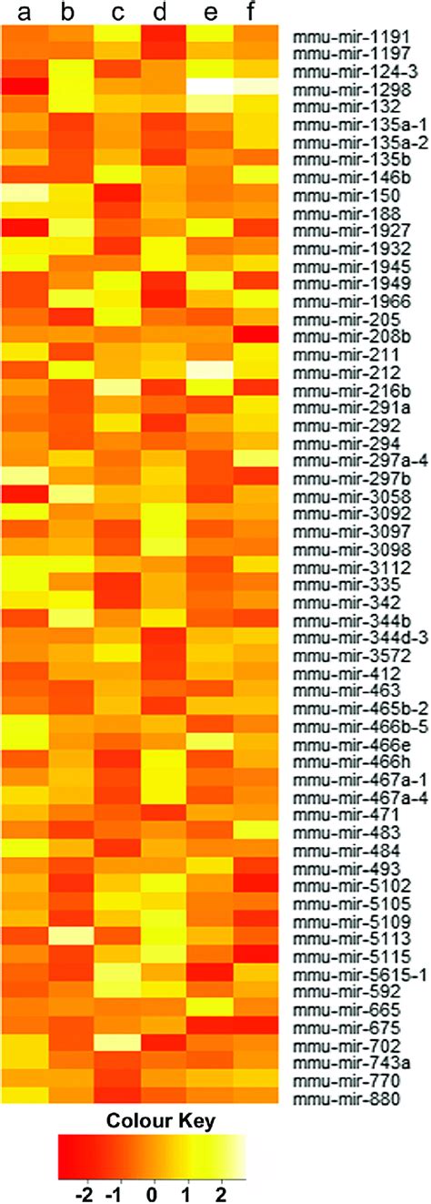 Heatmap Showing Differentially Expressed Mirnas Heat Map Shows