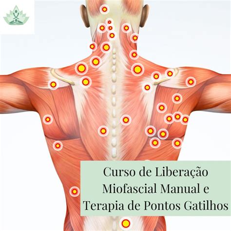 Curso De Libera O Miofascial E Terapia De Pontos Gatilhos T Cnicas