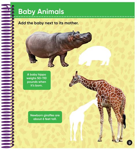 Sticker By Number Safari Animals Brain Games 52 Pages Publications