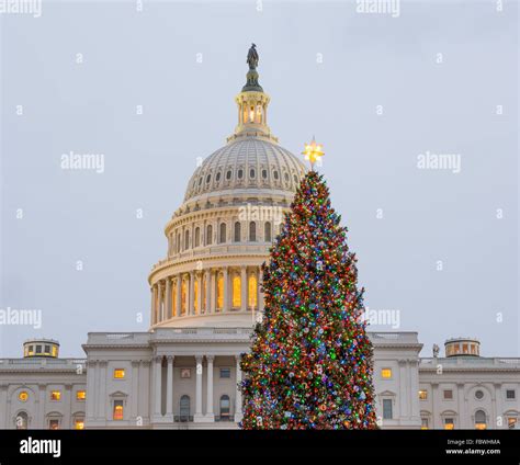 Christmas tree in front of Capitol Washington DC Stock Photo - Alamy