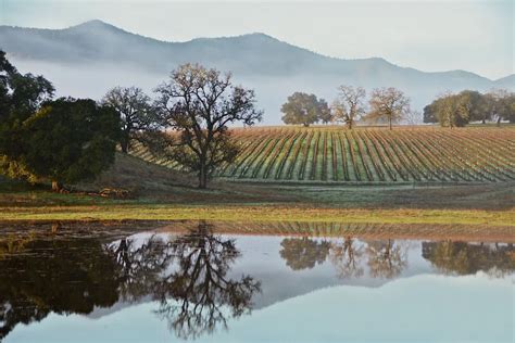 Usa10best 10 Of The Most Beautiful Wine Views Around Paso Robles