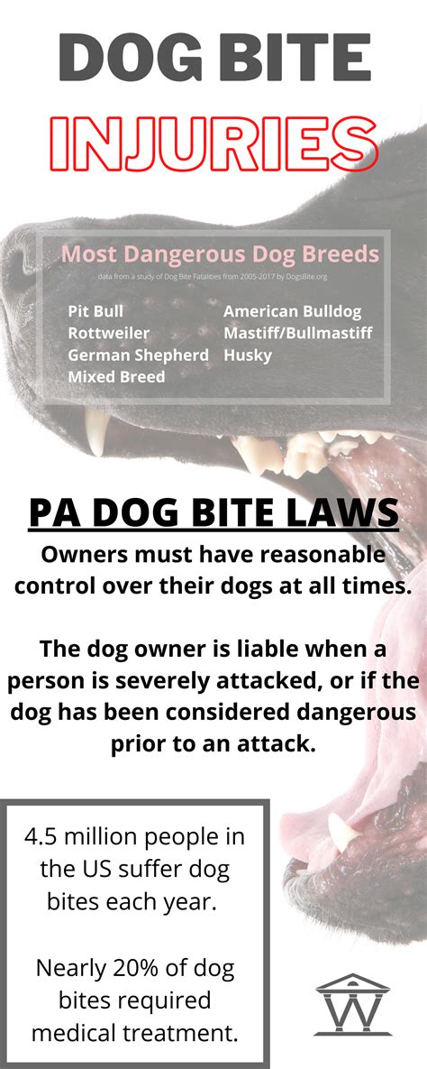 Dog Bite Laws In Pa What To Know Wieand Law Firm