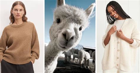 Alpaca vs. Cashmere Sweaters – PureWow