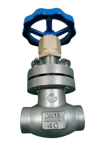 Low Temperature Gas DN15 PN40 Socket Weld Globe Valve